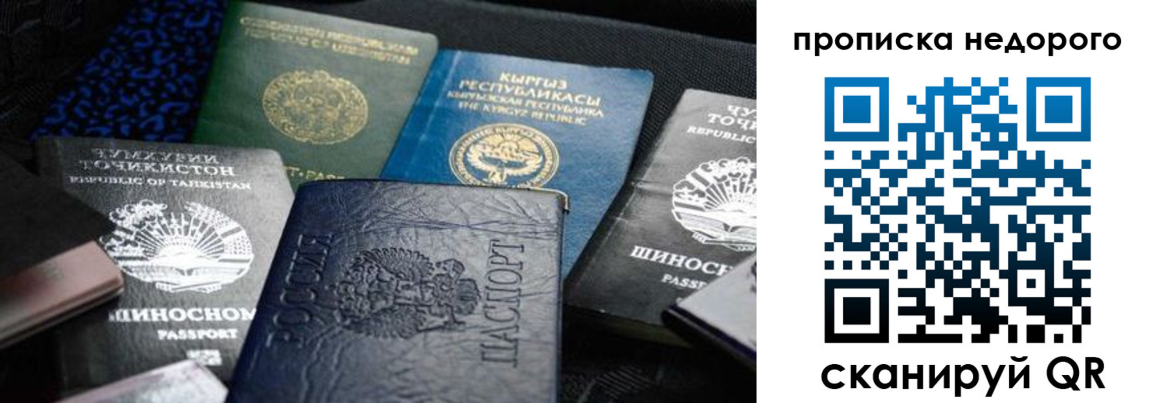 временная регистрация поиск в Новомосковске
